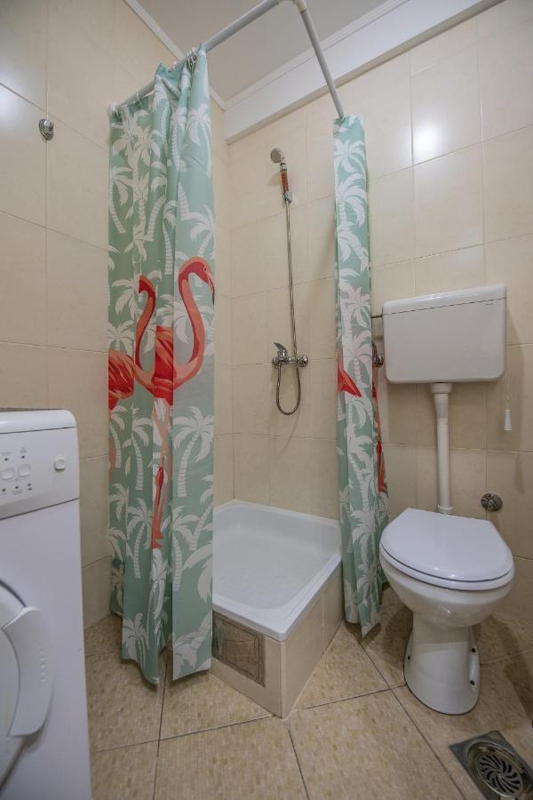 Stella Modern Apartment 2 ノヴィ・サド エクステリア 写真